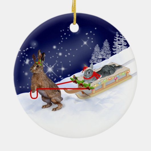 Sleigh Ride Ornament (Achterkant)
