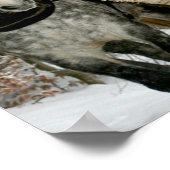 Sleigh Ride Poster (Hoek)