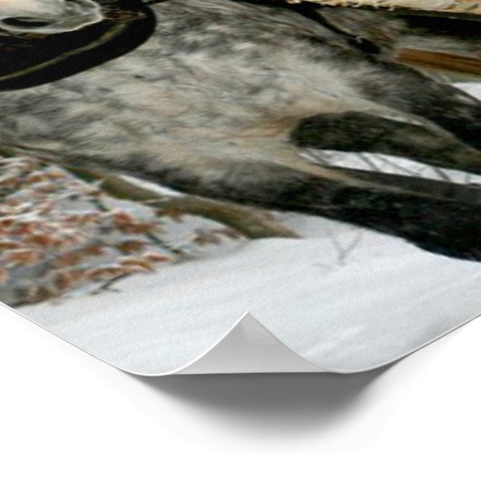 Sleigh Ride Poster (Hoek)