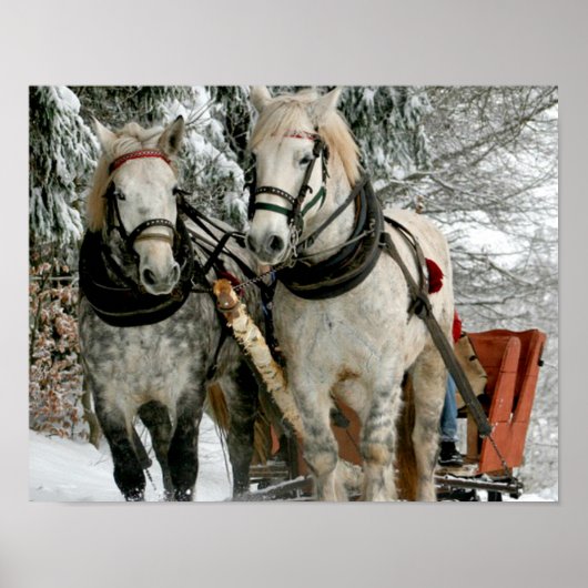 Sleigh Ride Poster (Voorkant)