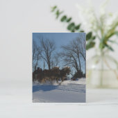 Sleigh ride Stowe Vermont Briefkaart (Staand voorkant)