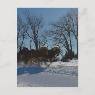 Sleigh ride Stowe Vermont Briefkaart