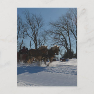 Sleigh ride Stowe Vermont Briefkaart