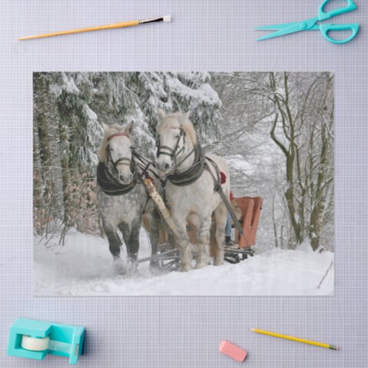 Sleigh Ride Tissuepapier (Craft)