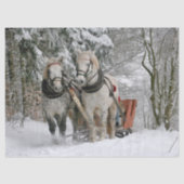 Sleigh Ride Tissuepapier (Voorkant)