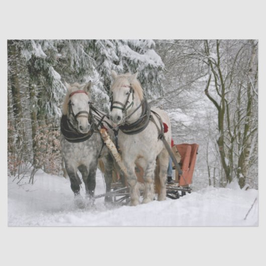Sleigh Ride Tissuepapier (Voorkant)
