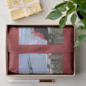 Sleigh van paard tissuepapier (Geschenk)