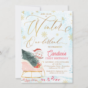 Sleigh Winter One-derland Birthday Invitation Kaart