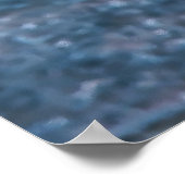 Slender Dragonet Poster (Hoek)