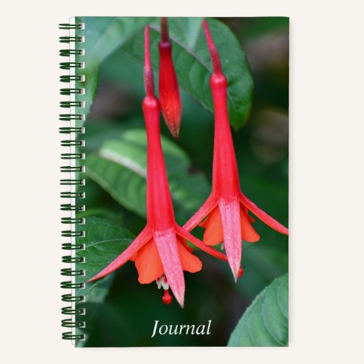 Slender Red Fuchsia Flowers Floral Notitieboek (Voorkant)
