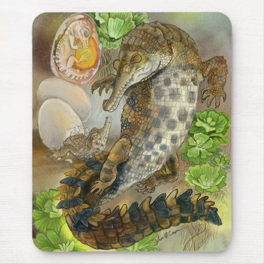 Slender Snouted Crocodile Muismat (Voorkant)