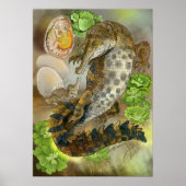 Slender Snouted Crocodile Poster (Voorkant)