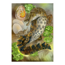 Slender Snouted Crocodile