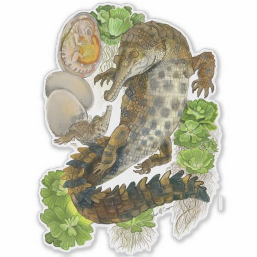 Slender Snouted Crocodile Sticker (Voorkant)