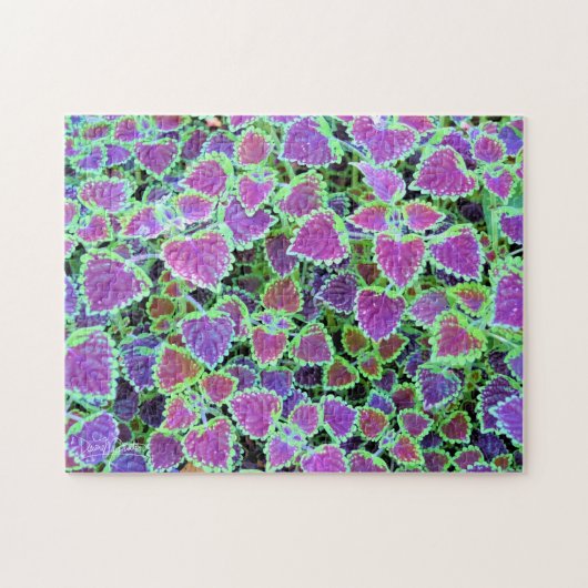 Slepende Bourgondië Coleus Legpuzzel (Horizontaal)