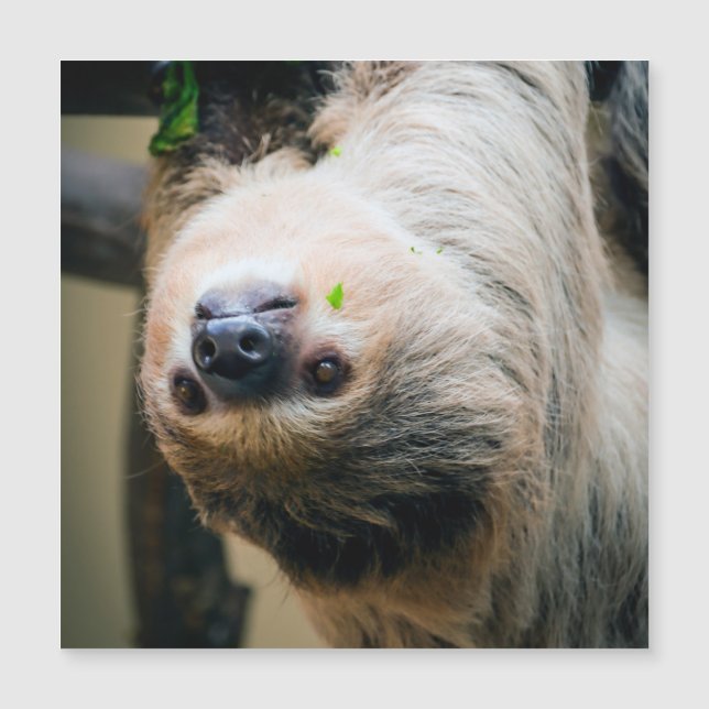 Sleuf 001 (Voorkant)