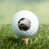 Sleuf 001 golfballen (Insitu Shirt)