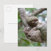 Sleuf Baby met moeder die van een boom hangt Briefkaart (Voorkant / Achterkant)