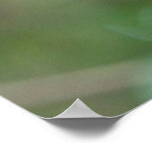 Sleuf Baby met moeder die van een boom hangt Poster (Hoek)