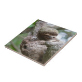 Sleuf Baby met moeder die van een boom hangt Tegeltje (Zijkant)