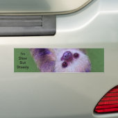 Sleuf Bumpersticker (Op auto)