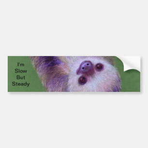 Sleuf Bumpersticker