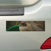 Sleuf Bumpersticker (Op auto)