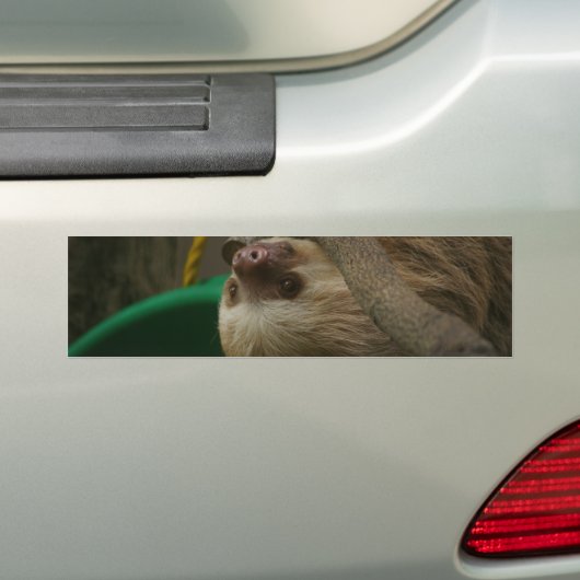 Sleuf Bumpersticker (Op auto)