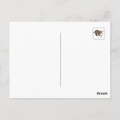 Sleuf en steady briefkaart (Achterkant)