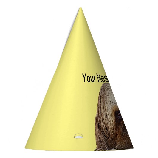 Sleuf Feesthoedjes (Links)