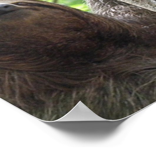 Sleuf foto-Poster afdrukken Poster (Hoek)