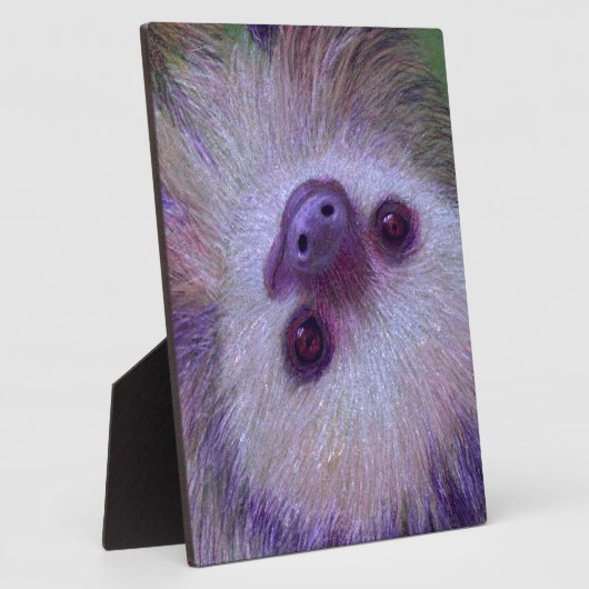 Sleuf Fotoplaat (Zijkant)