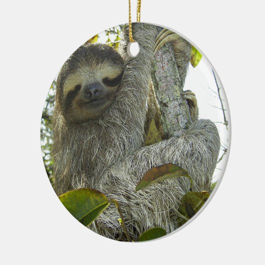 Sleuf Keramisch Ornament (Links)