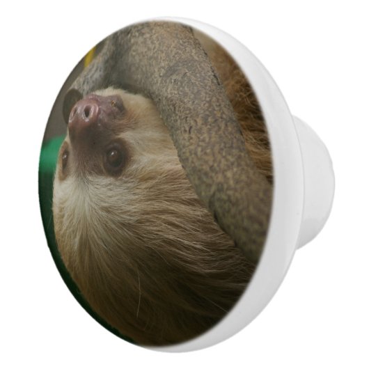 Sleuf Keramische Knop (Rechts)