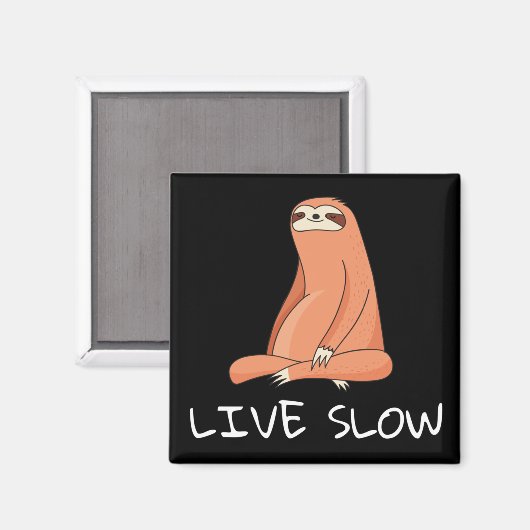 Sleuf live traag magneet (Voorkant / Achterkant)