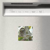 Sleuf Magneet (Insitu (Vaatwasser))