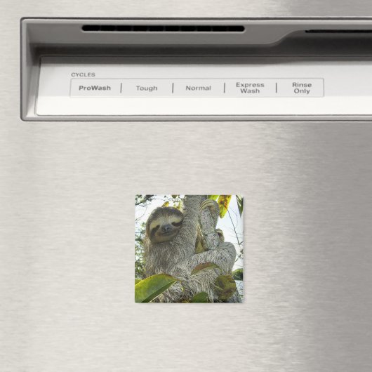 Sleuf Magneet (Insitu (Vaatwasser))