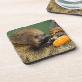 Sleuf met pompoen bier onderzetter (Linkerzijde)