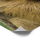 Sleuf met pompoen poster (Hoek)