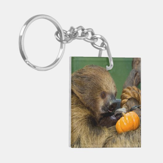 Sleuf met pompoen sleutelhanger (Voorkant Links)