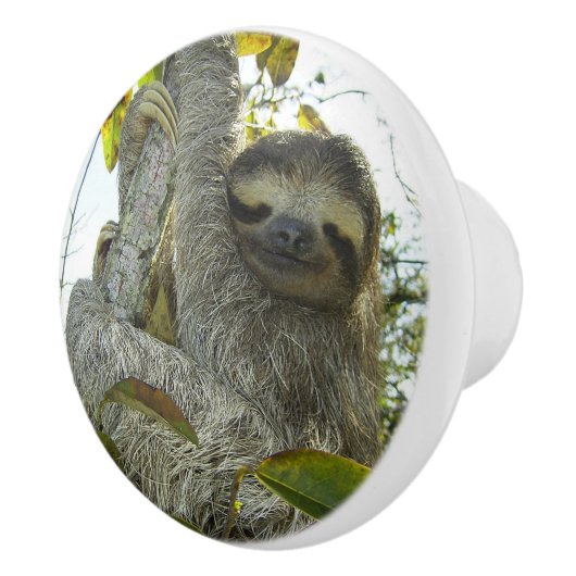 Sleuf omhoog een structuur keramische knop (Rechts)