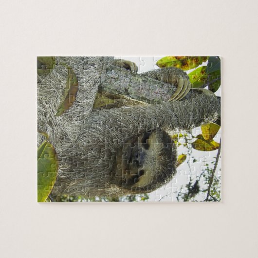 Sleuf omhoog een structuur legpuzzel (Horizontaal)