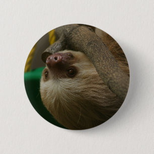 Sleuf Ronde Button 5,7 Cm