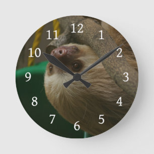 Sleuf Ronde Klok