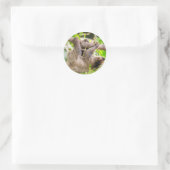 Sleuf Ronde Sticker (Tas)