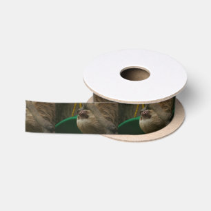 Sleuf Satijnen Lint