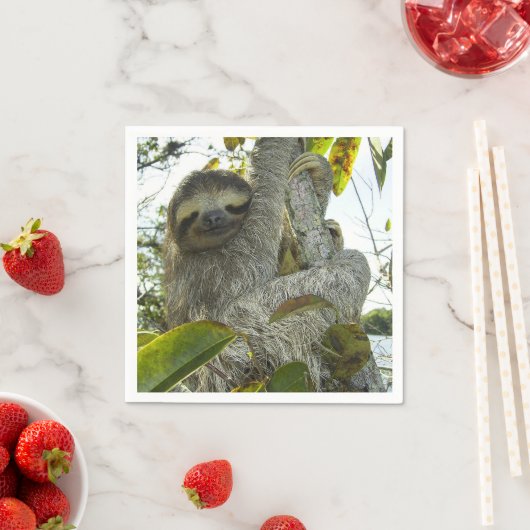 Sleuf Servet (Insitu)