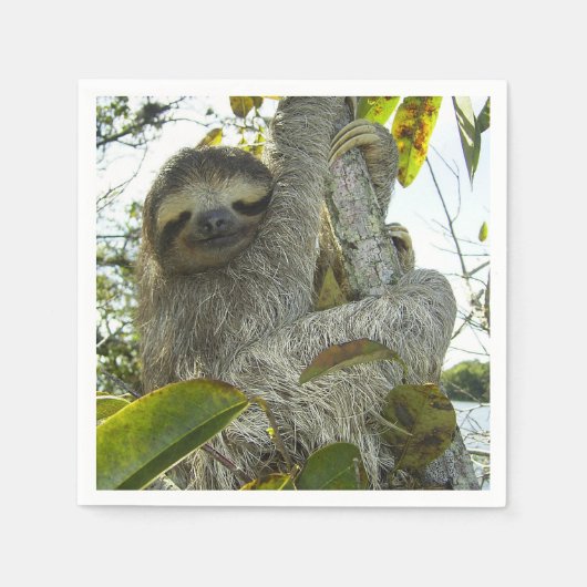 Sleuf Servet (Voorkant)