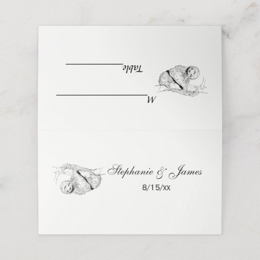 Sleuftreklichtfoto #1 plaatskaartje (Buitenkant ongevouwen)