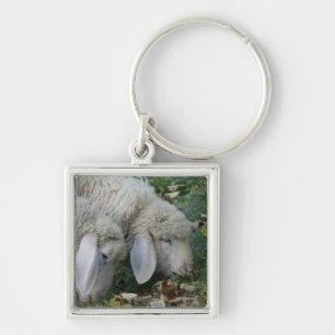 Sleutelanhanger met hangoor Alpen schaap Sleutelhanger